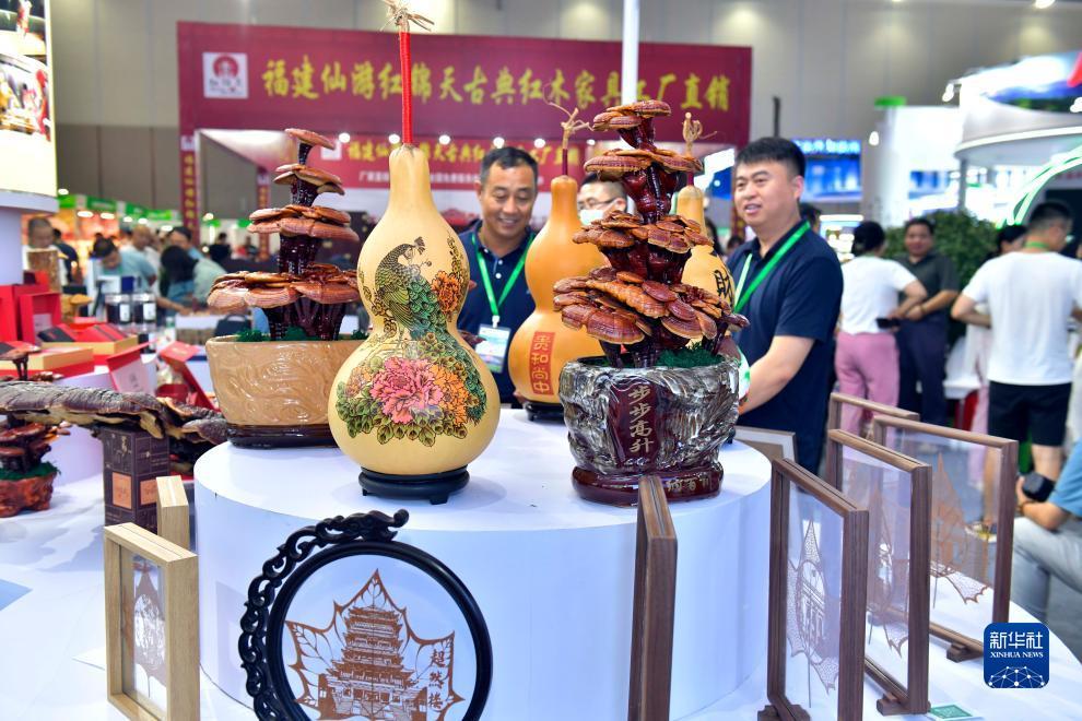 白菜彩金